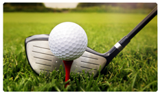 DNSEMP-C-344 Gone Golfing (Club)